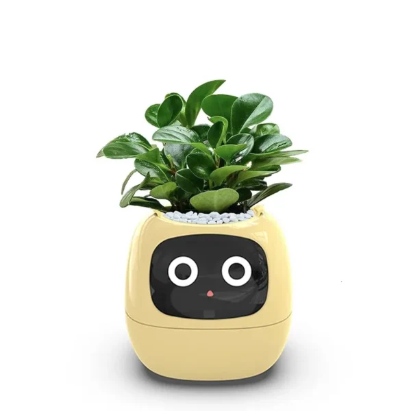 Home Garden Flower Pots Creative interaction mini smart garden indoor Smart flower planter APP Internet control Flowerpot