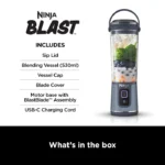 Ninja® Blast™ - BC151